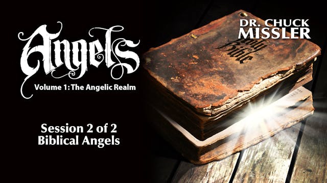 Angels Volume 1: The Angelic Realm - ...