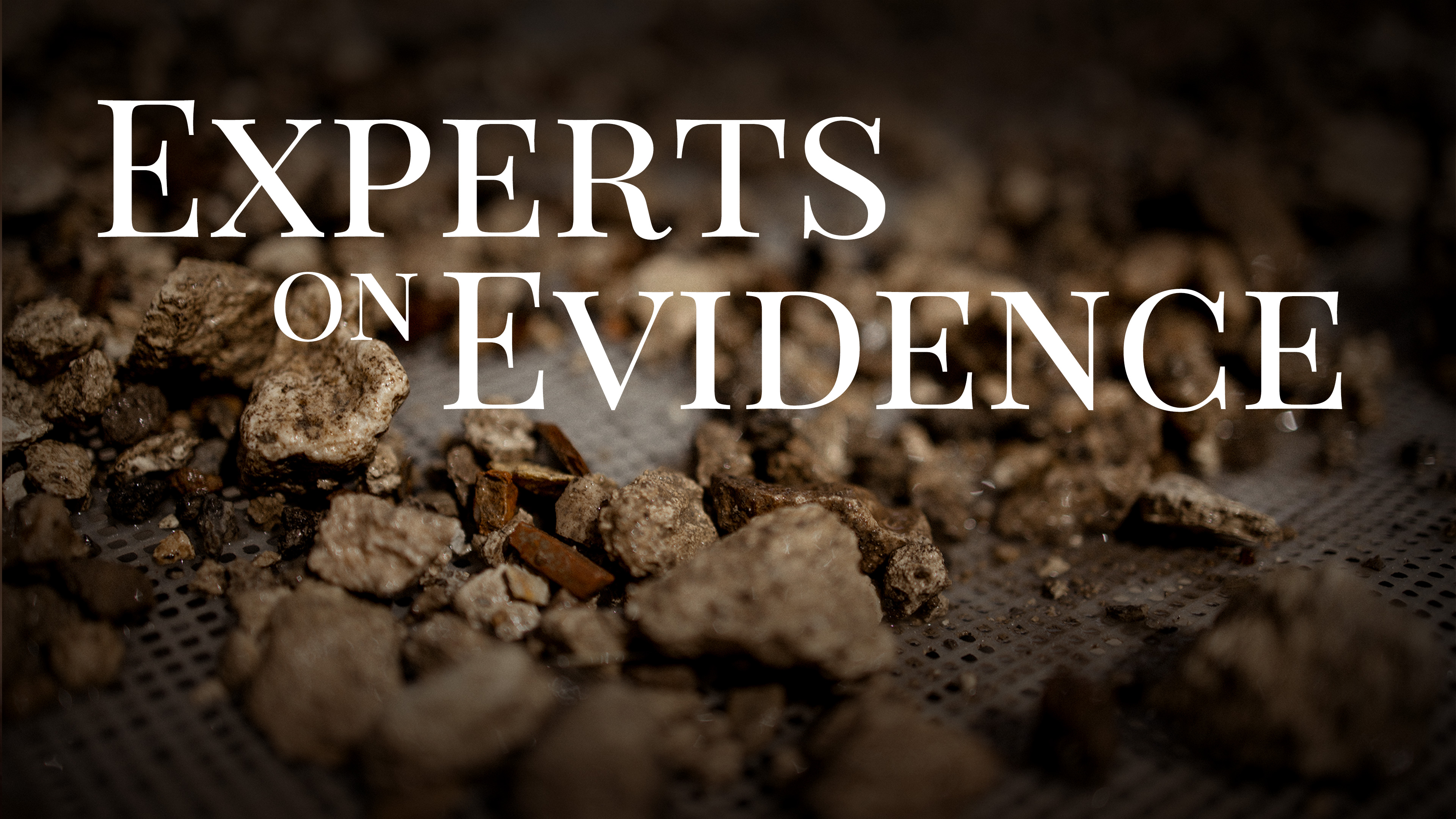 Evidence - Experts on Evidence