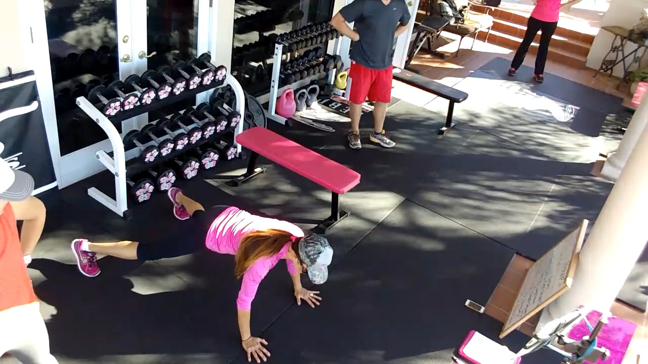 Chest Shoulders Triceps - Demo: Exercise Plank Taps