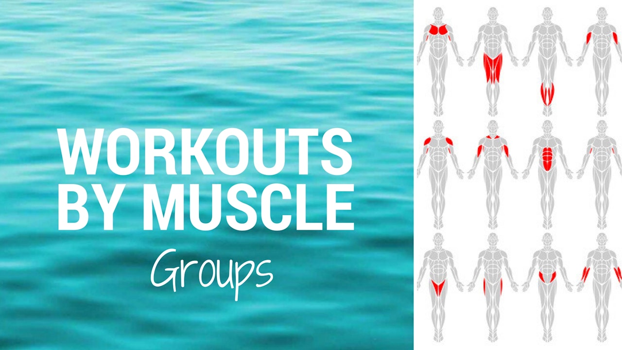 WORKOUTS BY MUSCLE GROUP