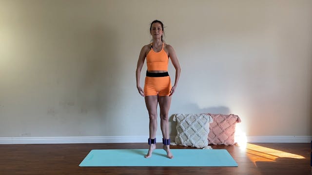 9 Minute Ballet Inspired Low Body Ser...