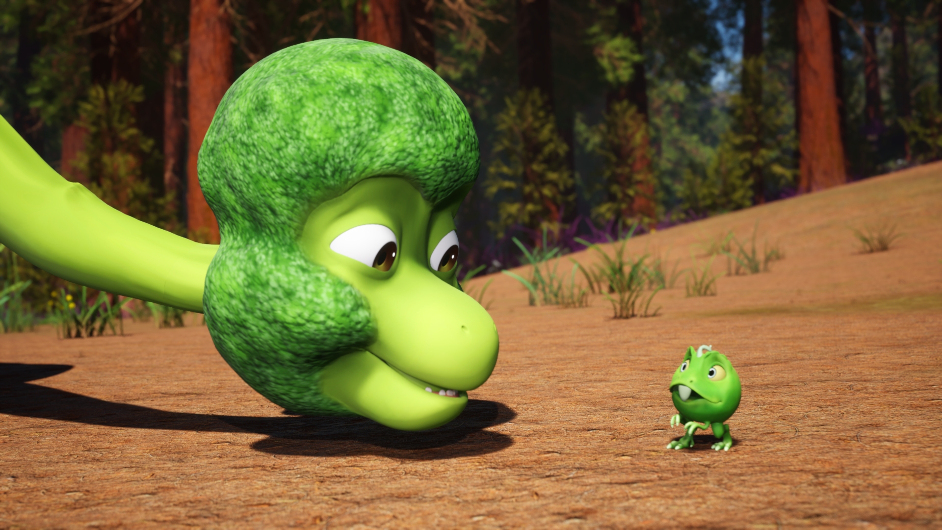 Roller Coaster Brocs | Hide and Seek