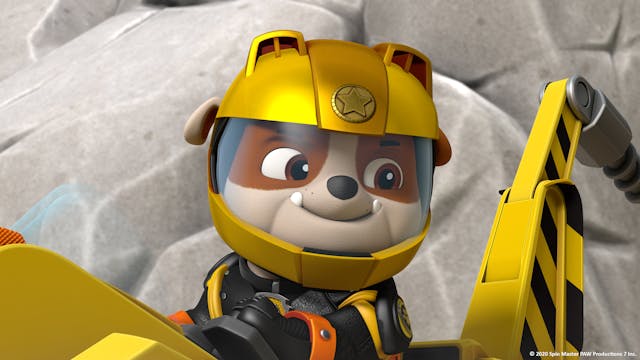 Moto Pups I