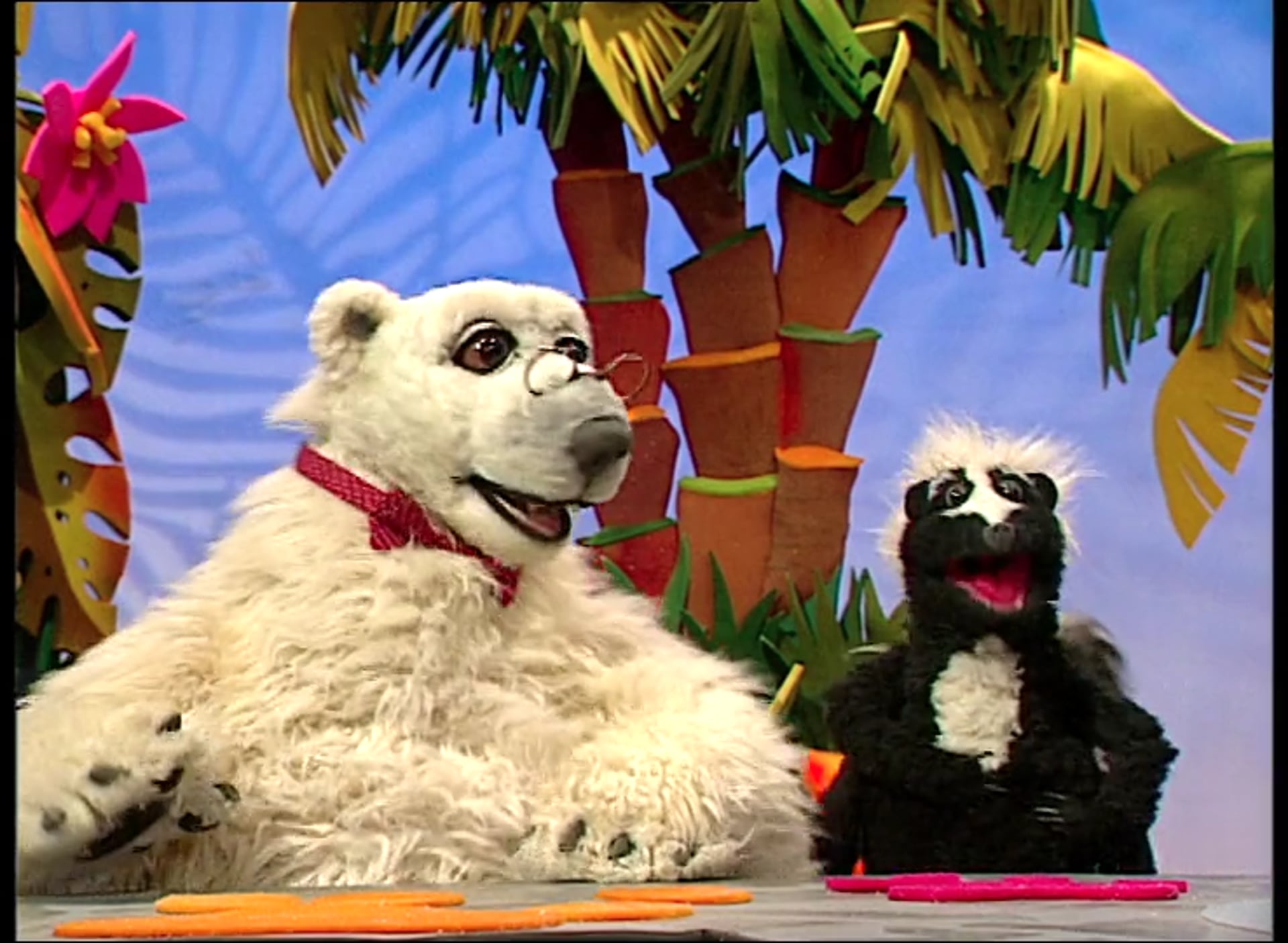 The Raccoon and the Polar Bear