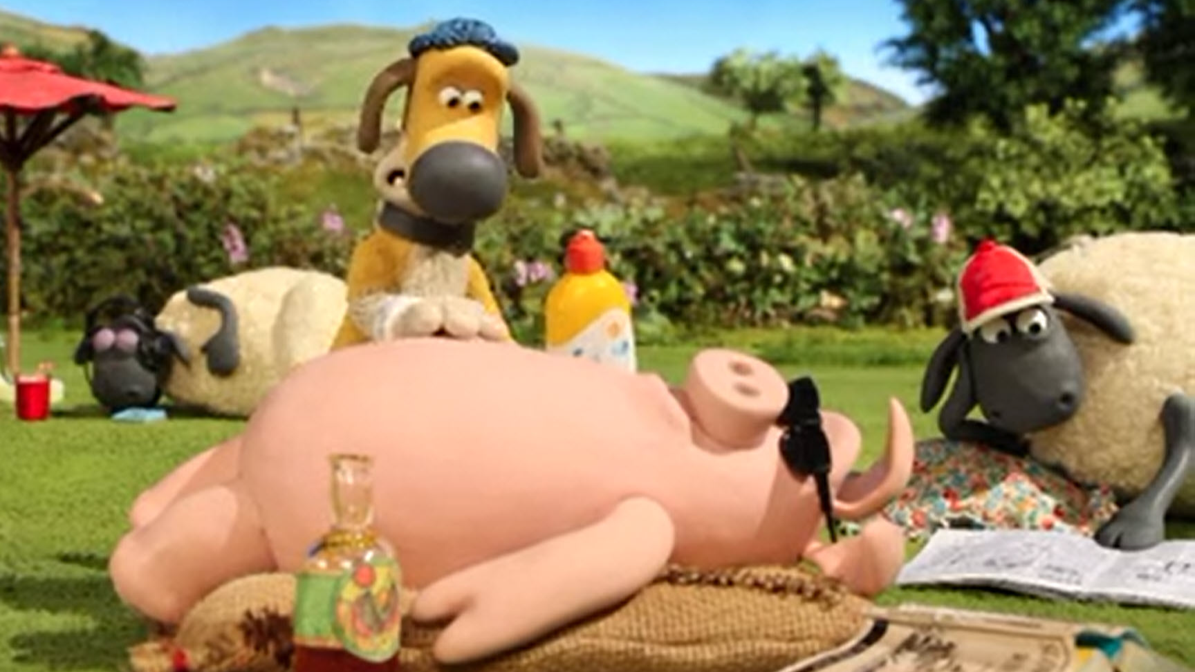 Whistleblower | The Big Chase