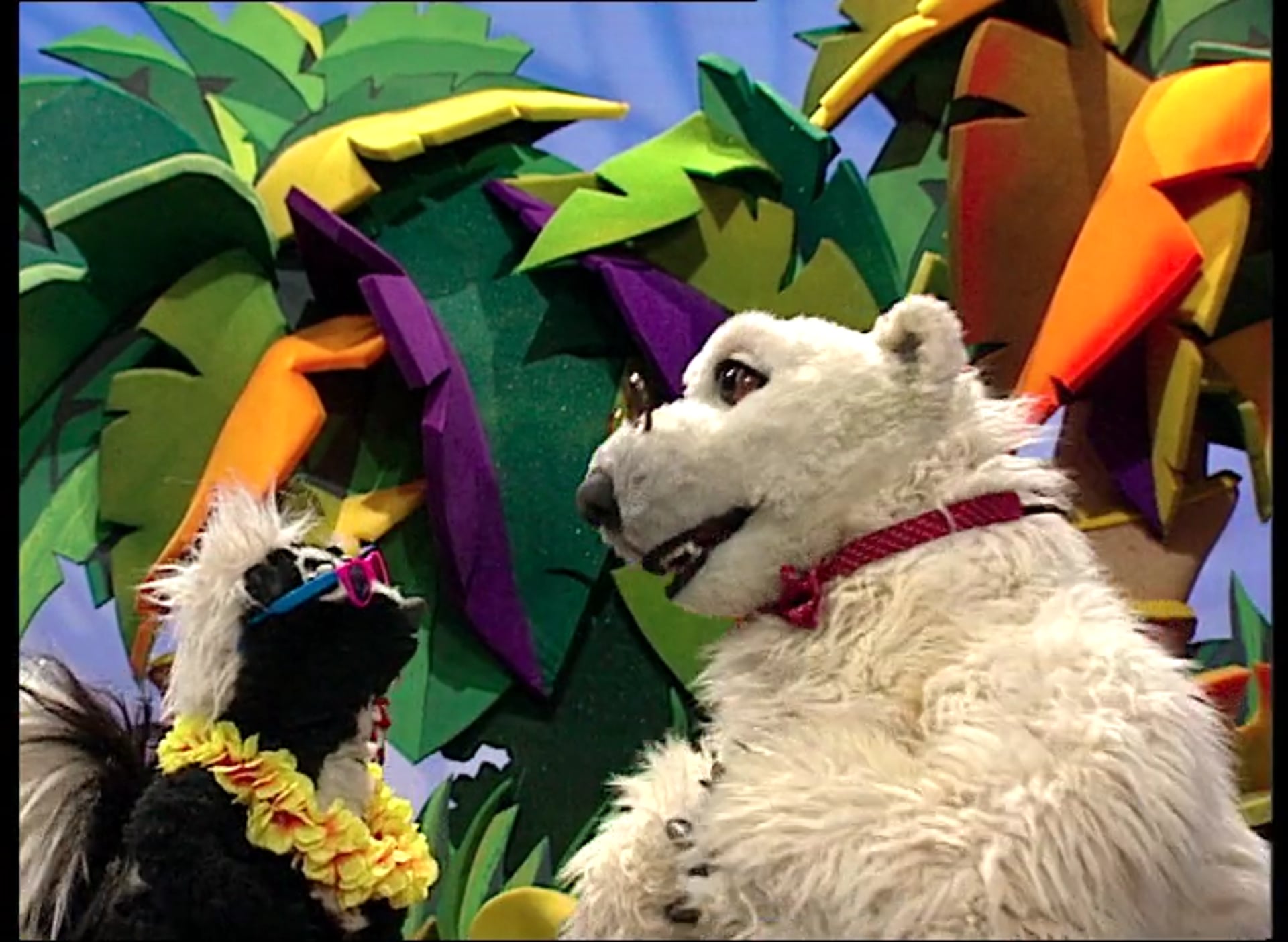 The Wildebeest and the Turtle