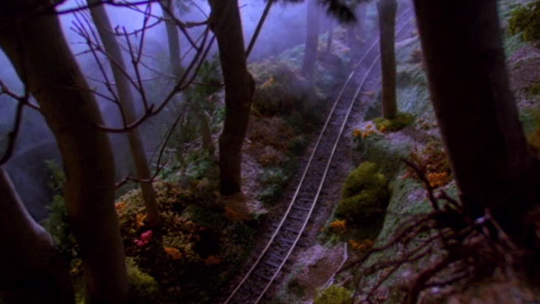 Toad Stands By | Fish