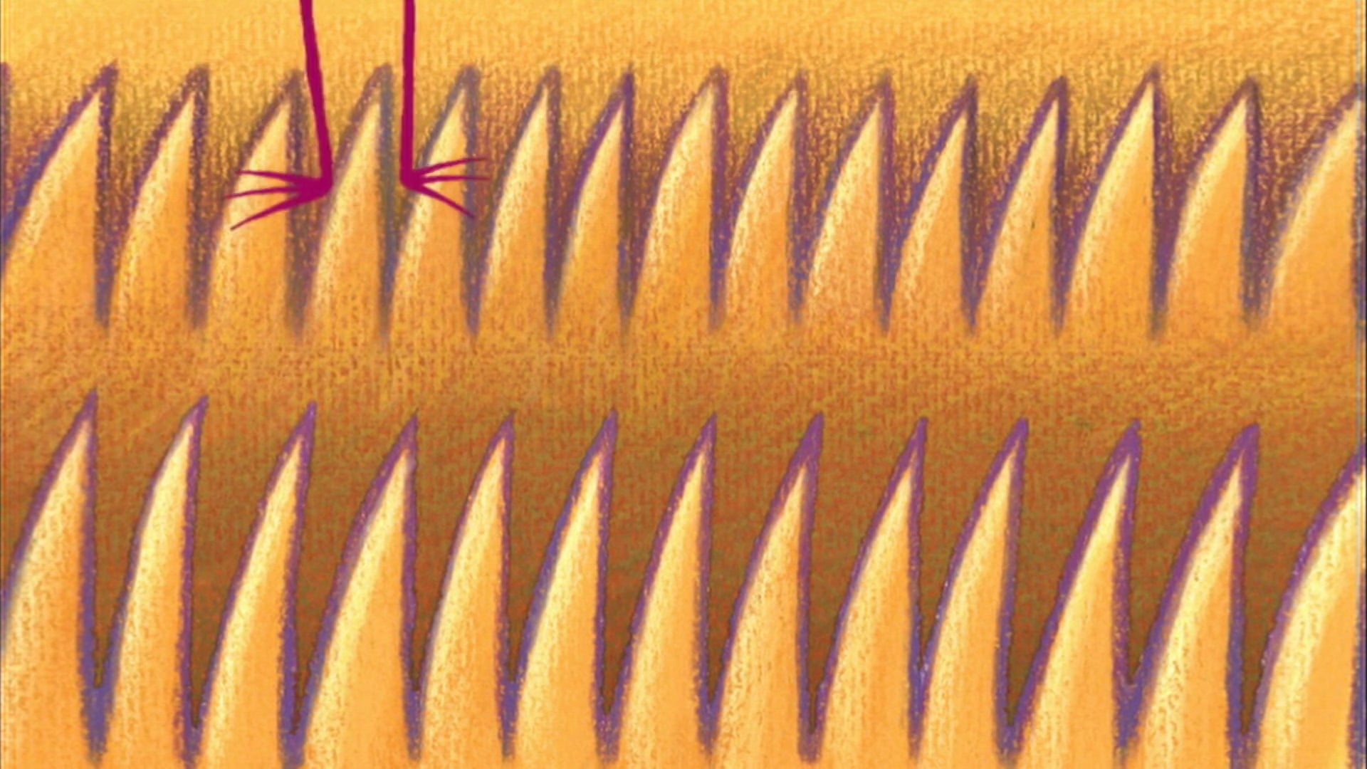 The Elephant Bird | Toby the Tortoise | Ronald and the Tic-Tic Bird