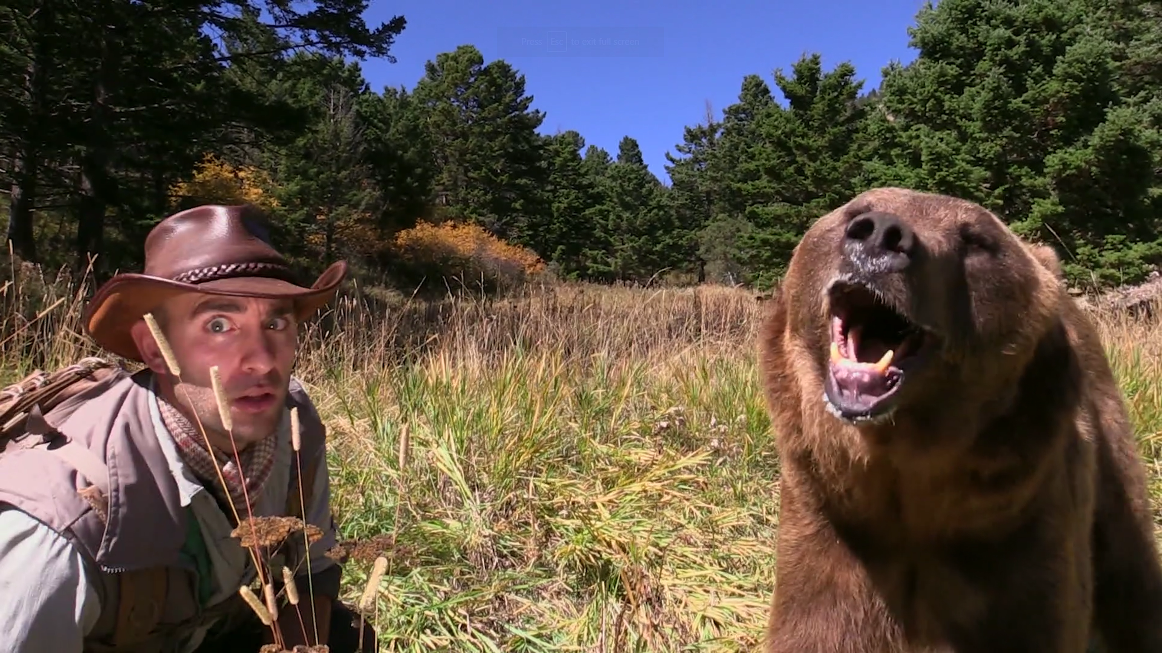 Coyote Peterson: Bears and Moose, Oh My!