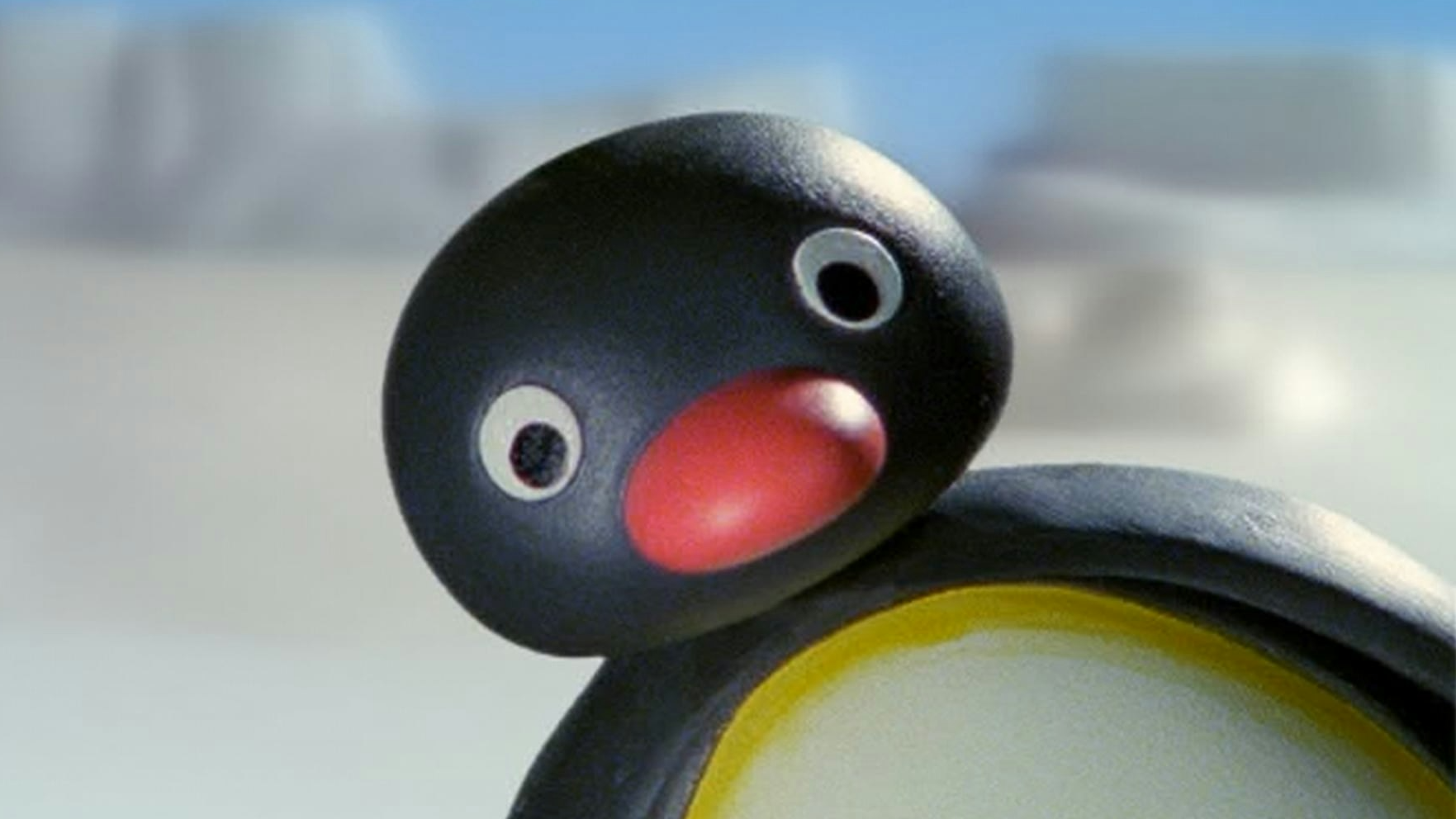 Pingu Plays Tag | Pingu's Stick Up