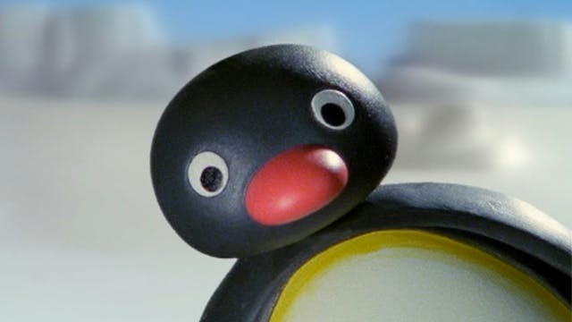 Pingu Plays Tag | Pingu's Stick Up