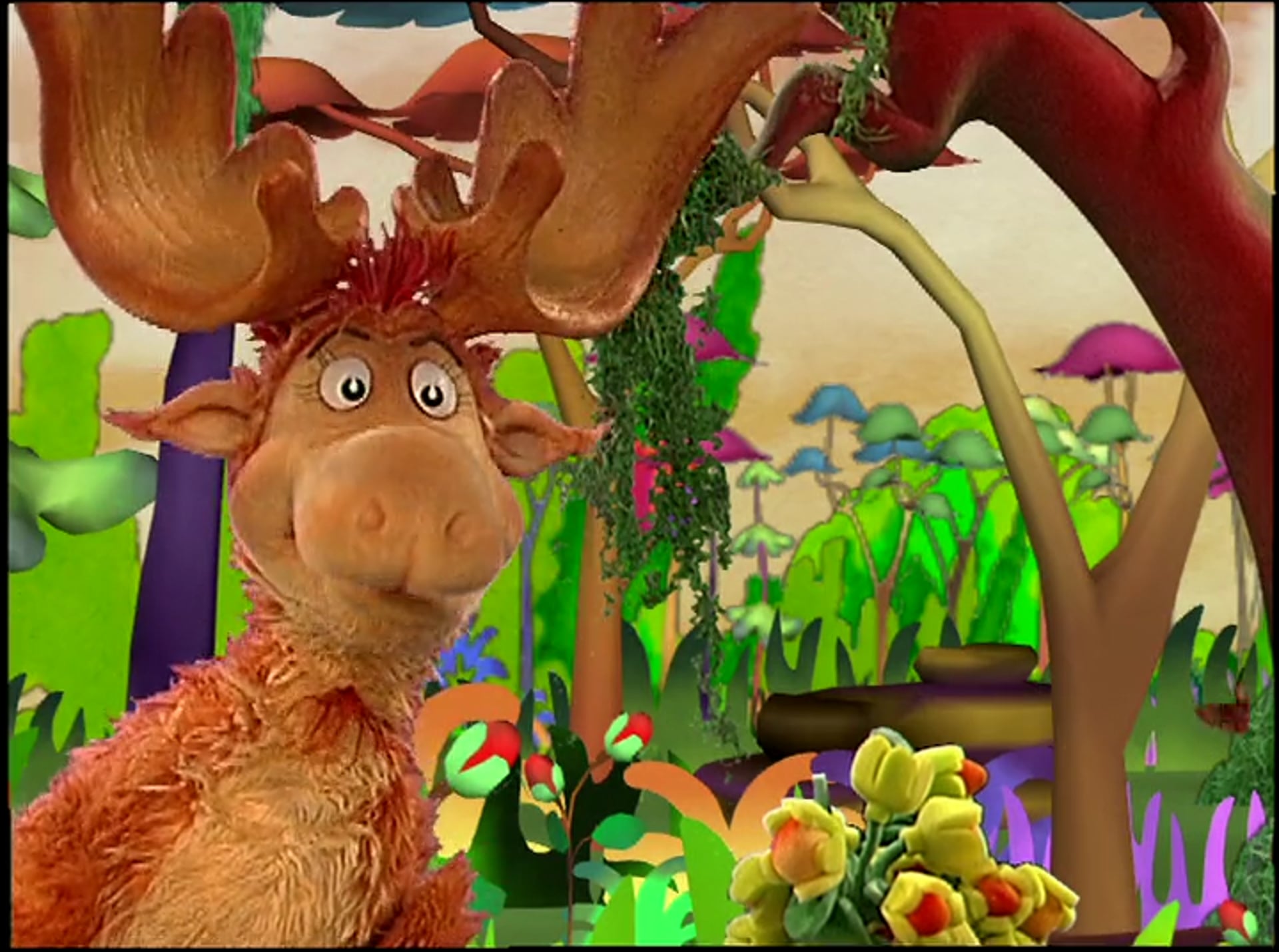 The Mystery of Winna-Bango Falls