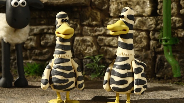 Bitzer from the Black Lagoon | Zebra Ducks of the Serengheti