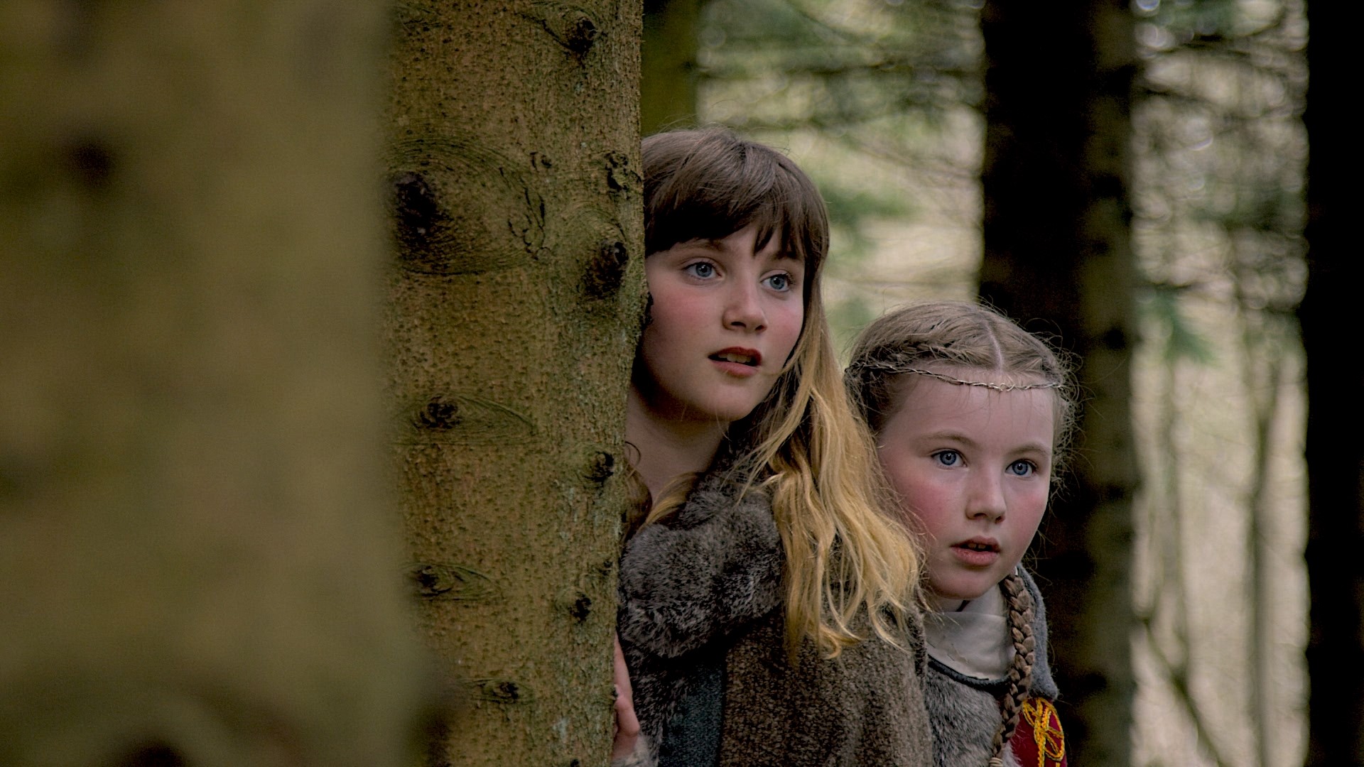 The Eagle Owl | Pine Martens