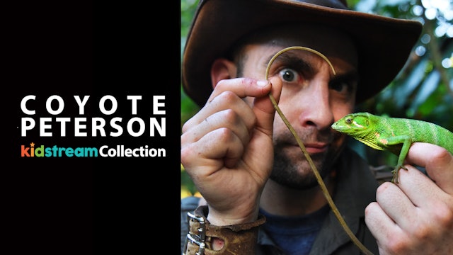 Coyote Peterson: Kidstream Collection - Mud Dragons