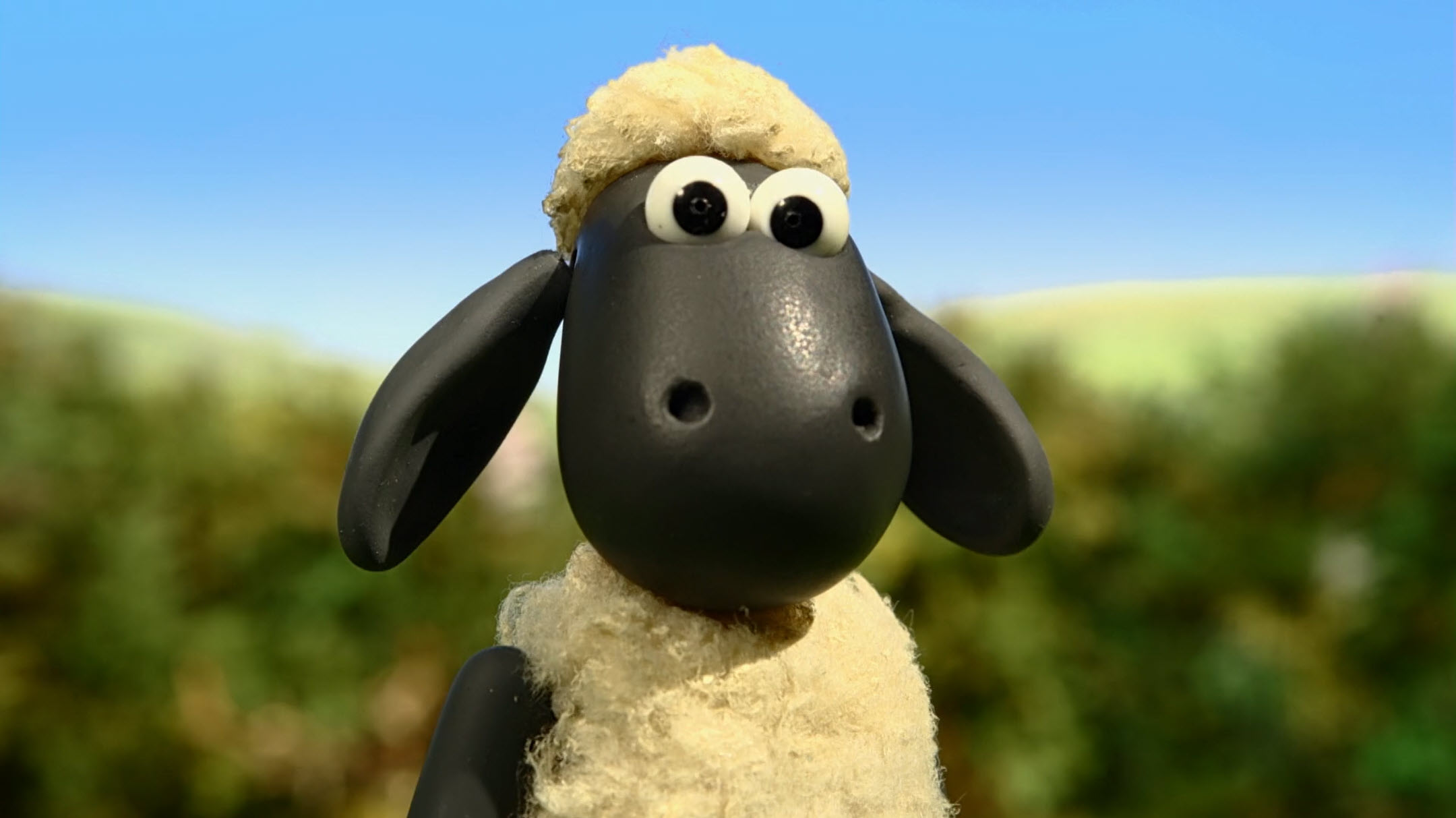 Cheetah Cheater | Ewe've Been Framed