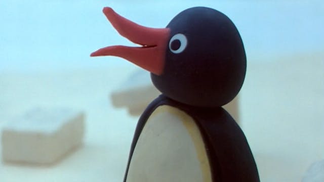 Pingu's Lavatory Story | Pingu at School