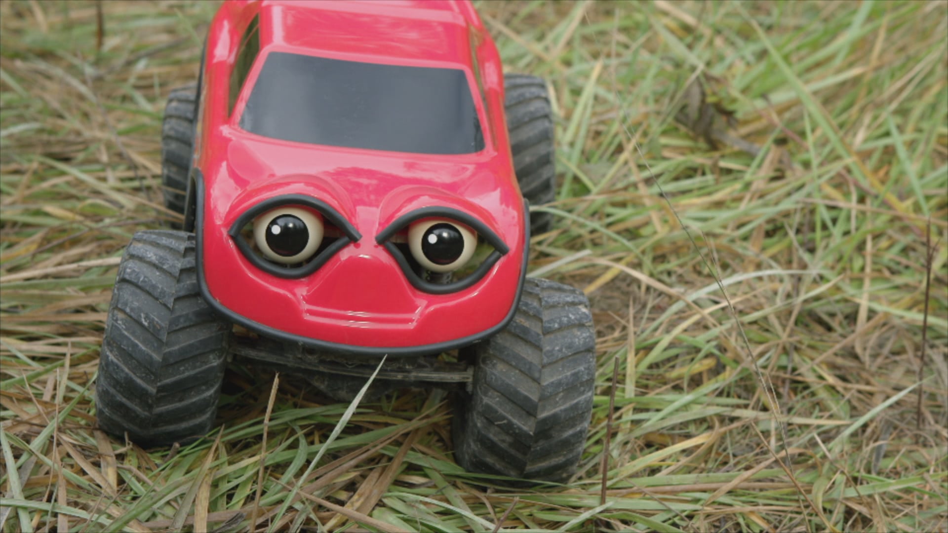 Zerbapartments | Hide and Go Dotty | Zerby Town Parade | Washed Away | more