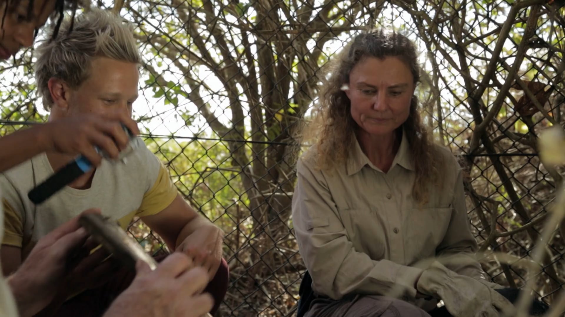 Urban Animals & Tarantula