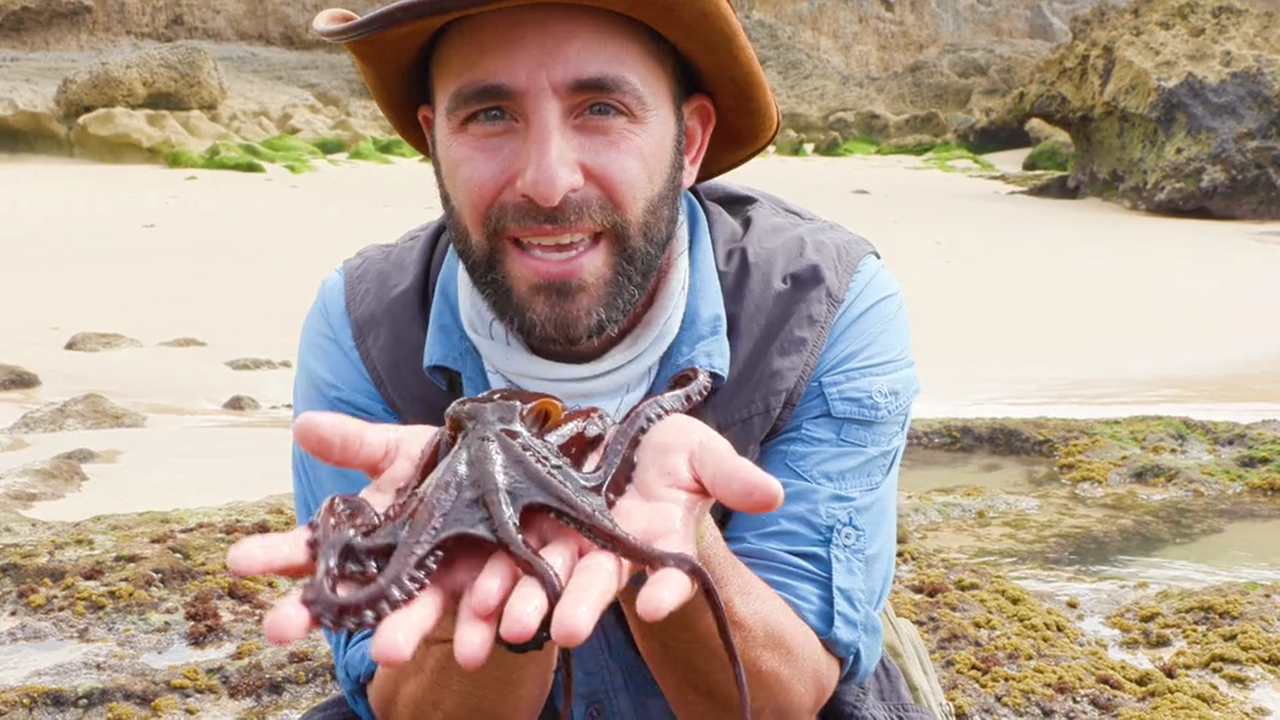 Coyote Peterson: Tide Pool Party