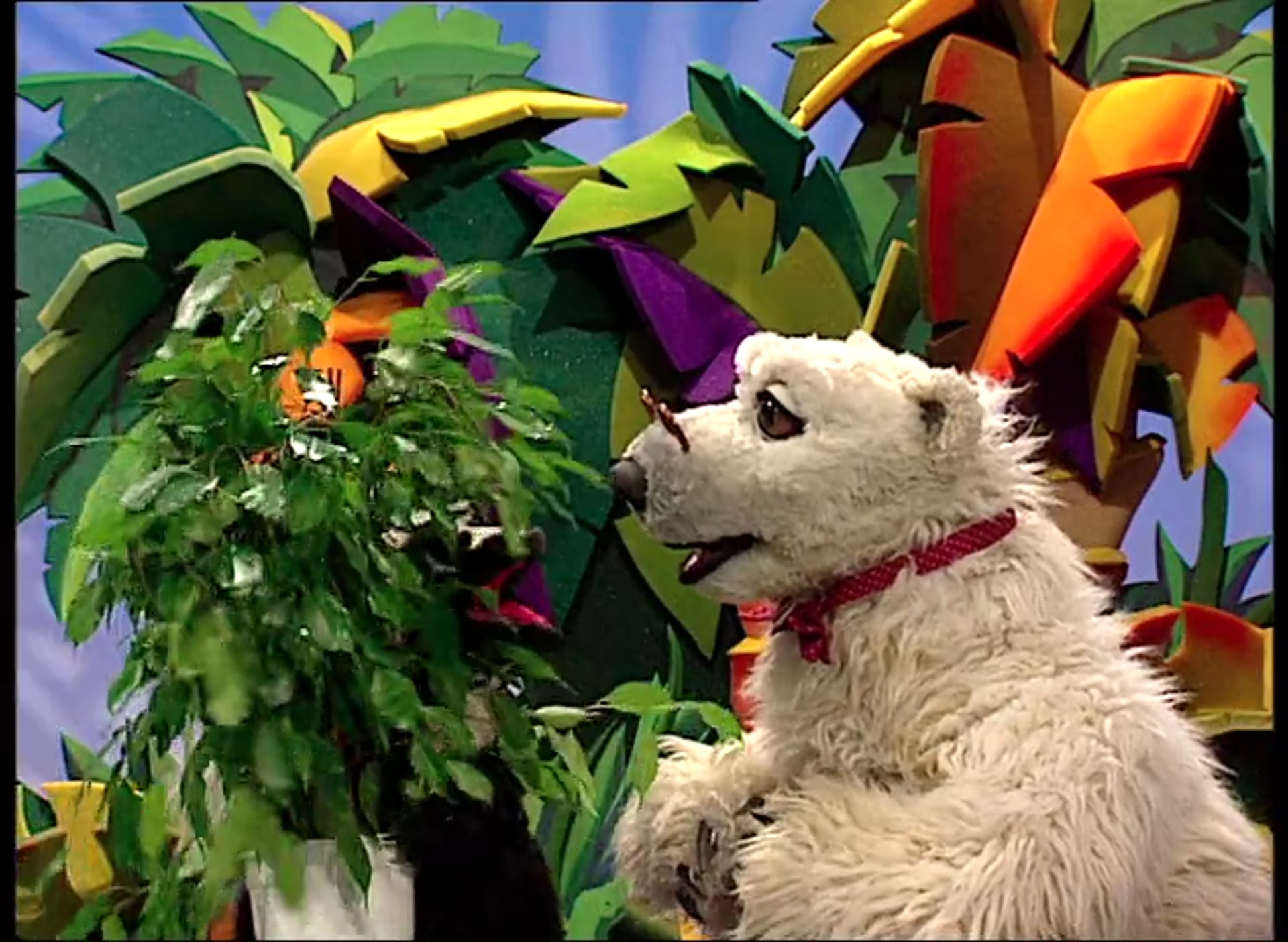 The Giraffe and the Sloth