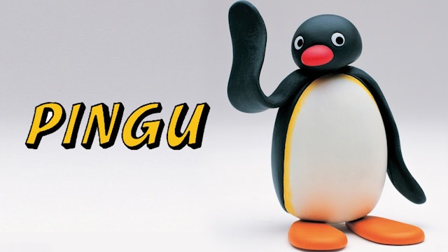 Pingu - Pingu is Introduced | Pingu Helps with Incubating