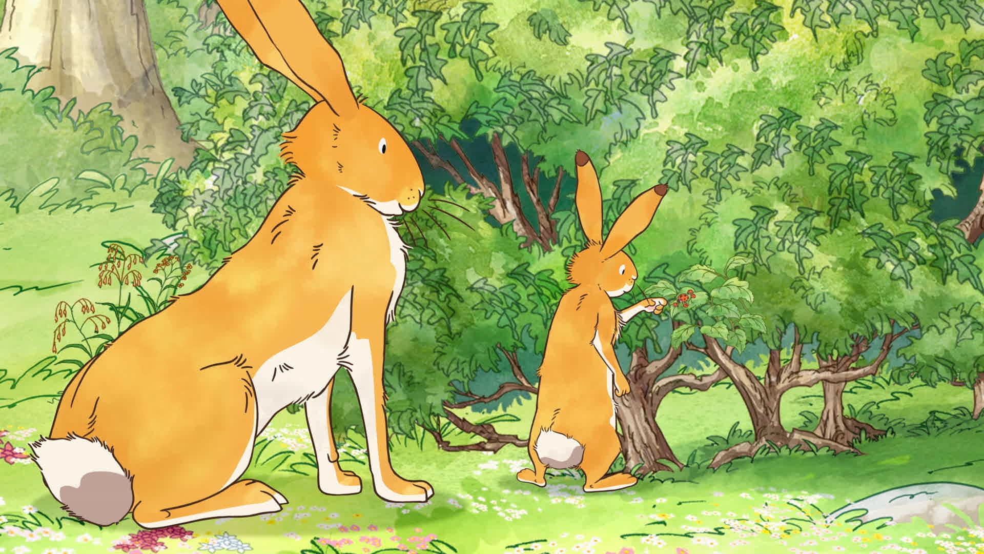 Fly Away Home | Rainy Days