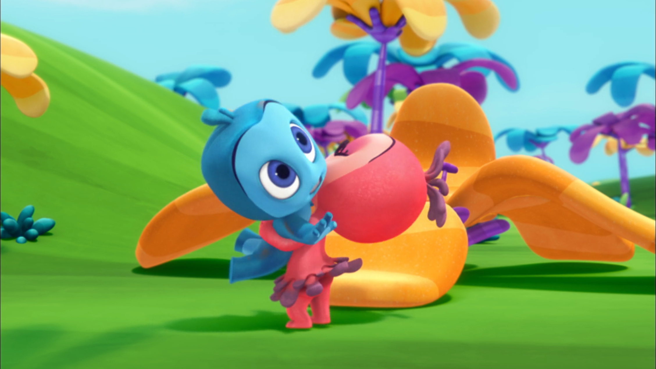 Boomer’s First Flight | Tack’s Obstacle Course