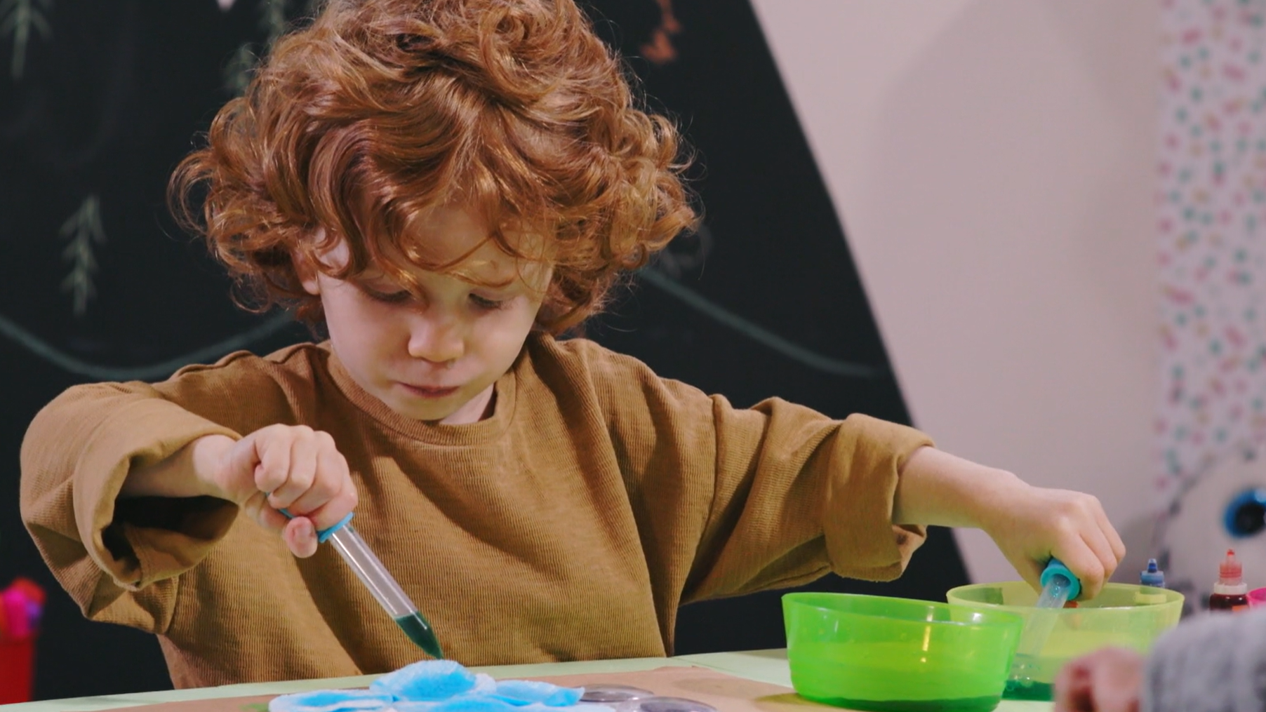 Salad Spinner Lion | Turtle