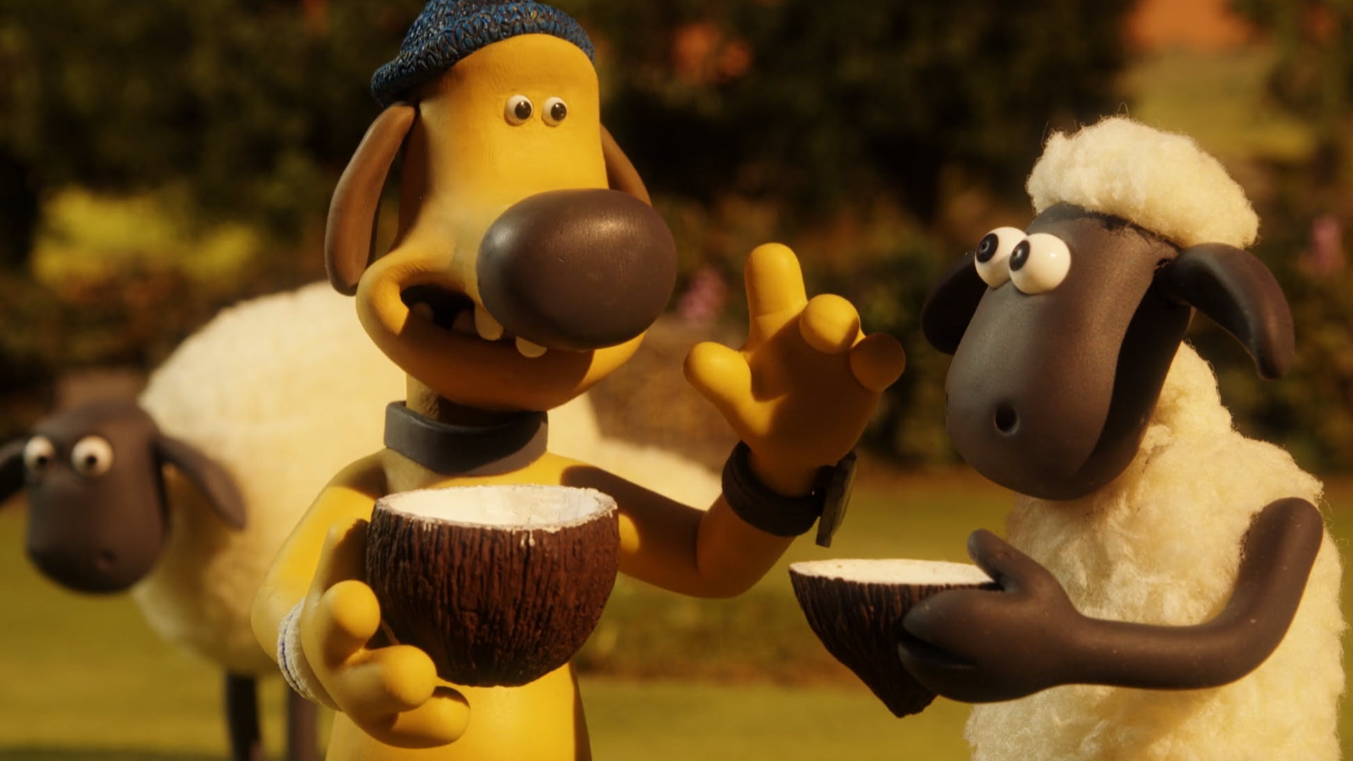 The Stand Off | The Coconut