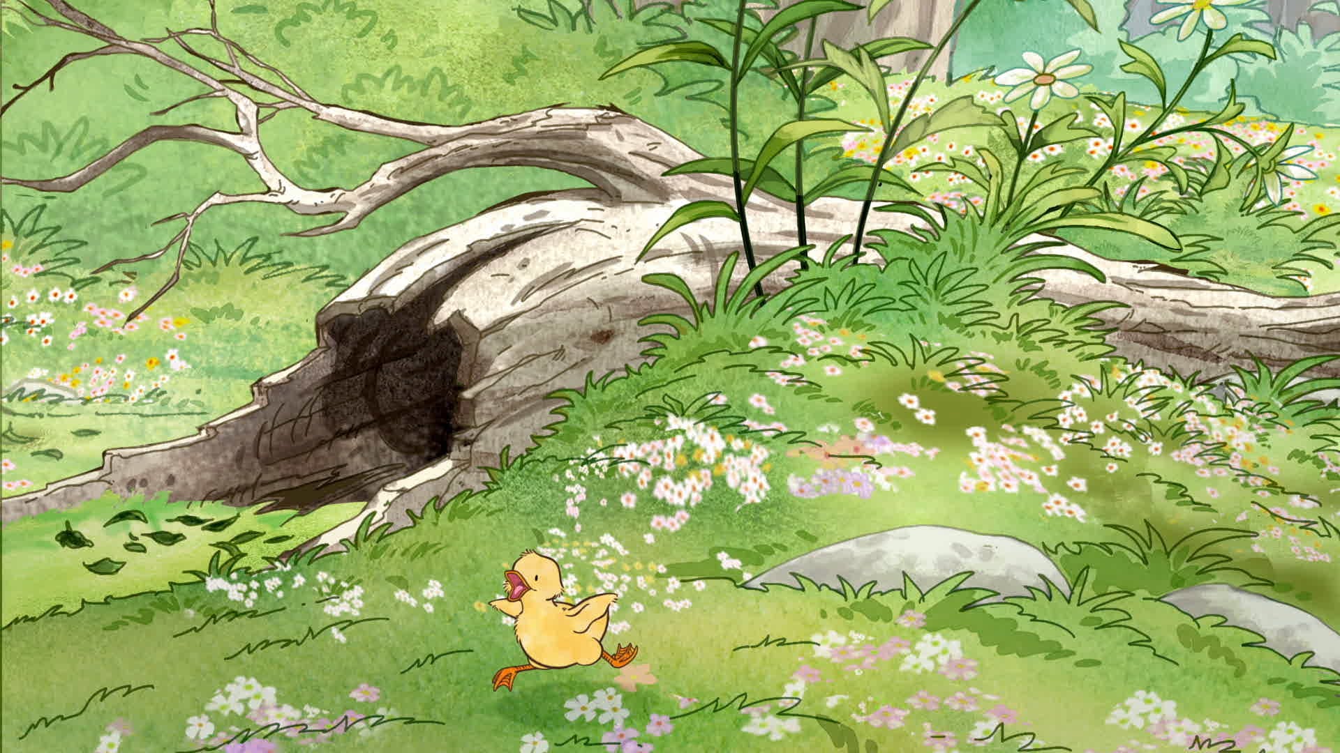 Follow Me | The Nest