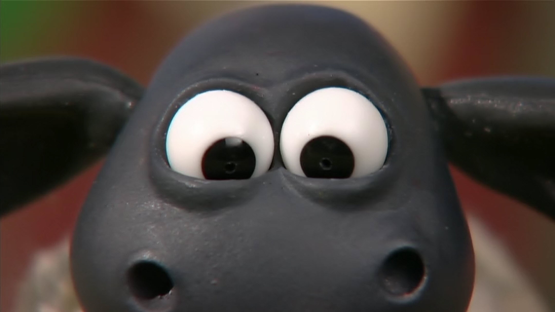 Sheep on the Loose | Bitzer puts his foot in it