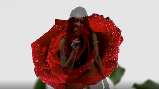 Leaving Eden - The Rose - Lyric Video