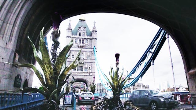 The Day of the Triffids