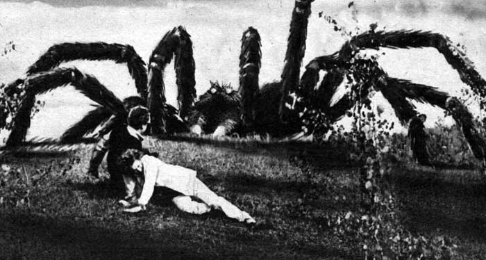 The Giant Spider Invasion