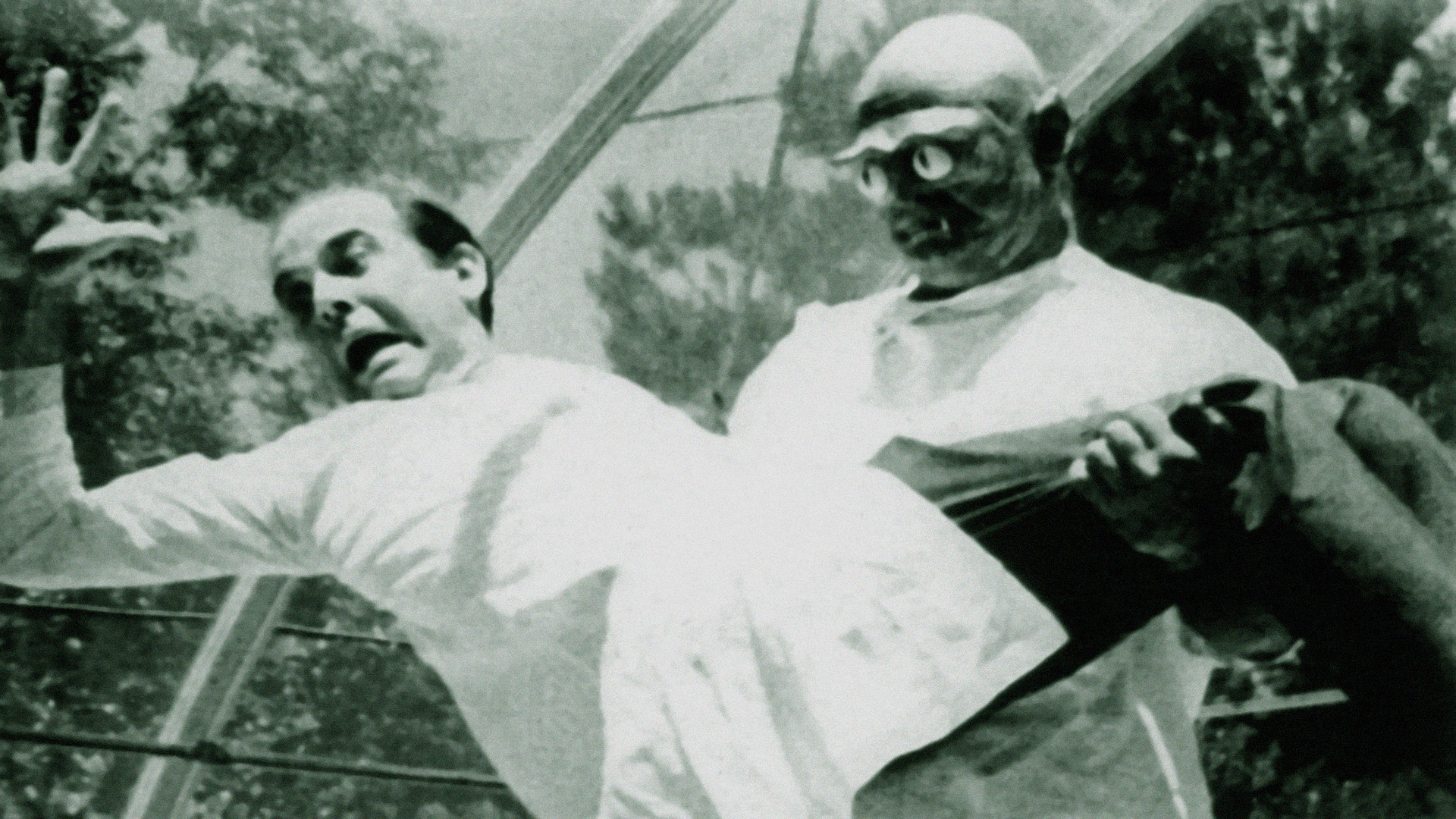 Curse of the Swamp Creature