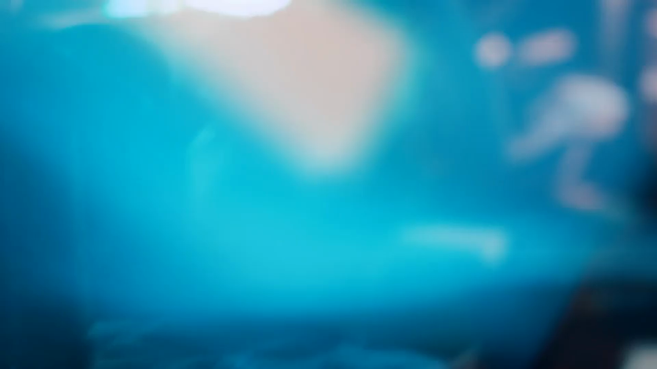 Music Video - Strength Of The Mind