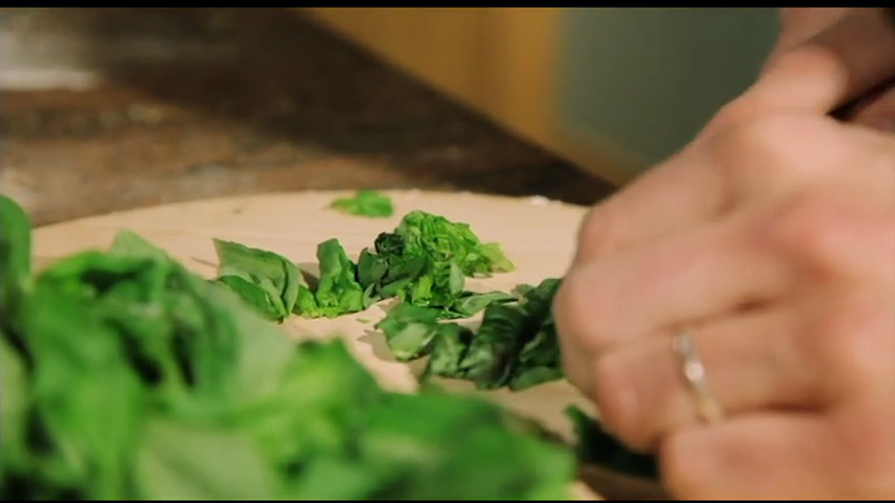 Band Member Profile - Jesse Leach