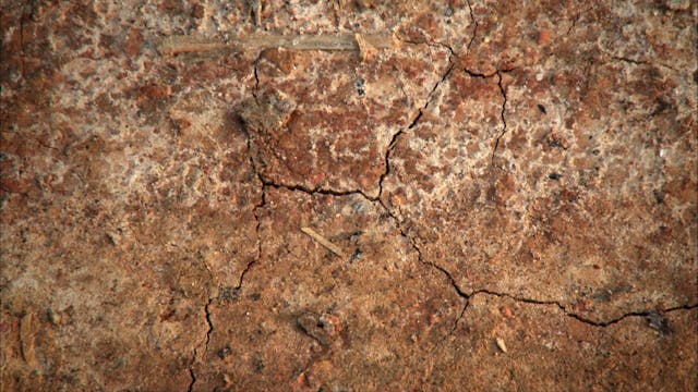 Lands (Terras)_ Feature