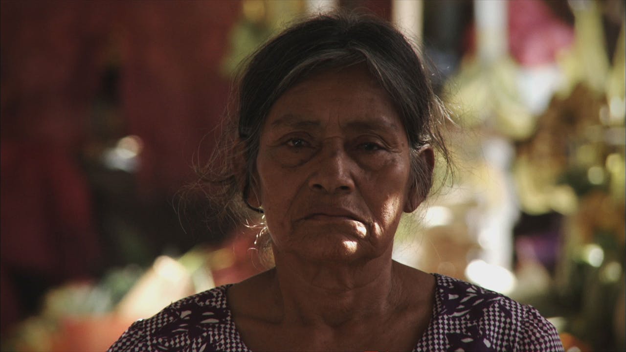 Lands @ Time & Space Limited