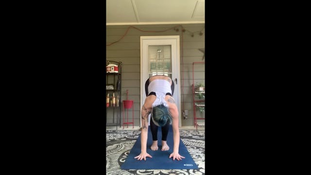 Patio Movement