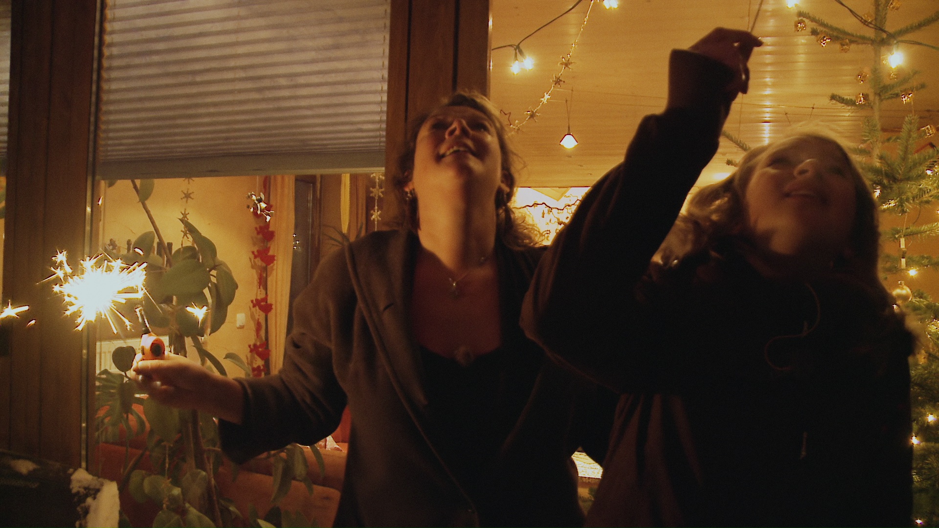 Die fremde Frau | The Strange Woman