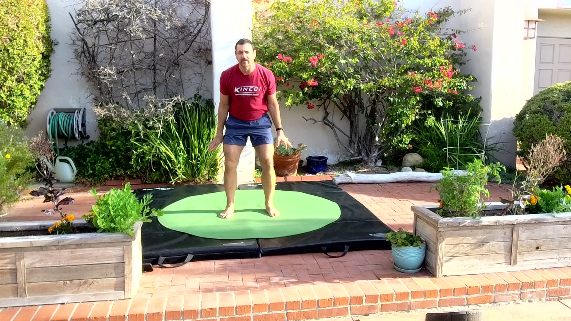 Redefining Movement Class—Full spine wiggle - head to toes Melt Mold Move. Natural Healing!