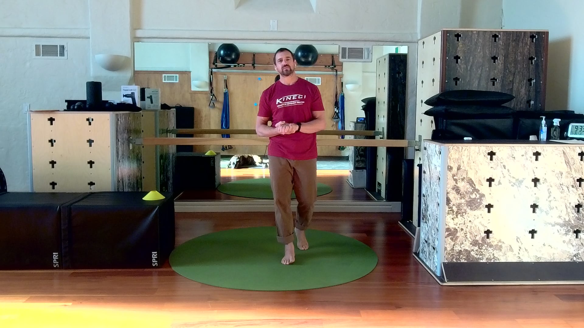 Redefining Movement Class -- Bees Knees...bee-cause you need your knees! Natural Healing for your knees!