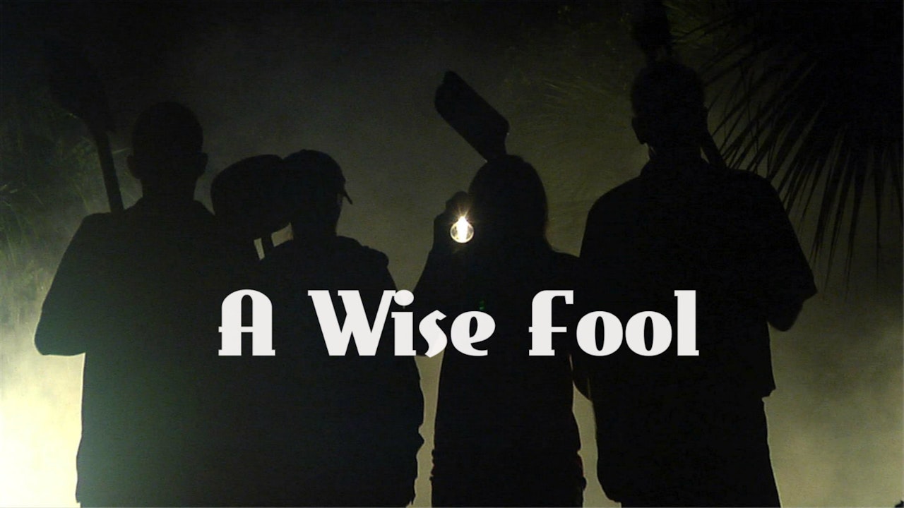 A Wise Fool