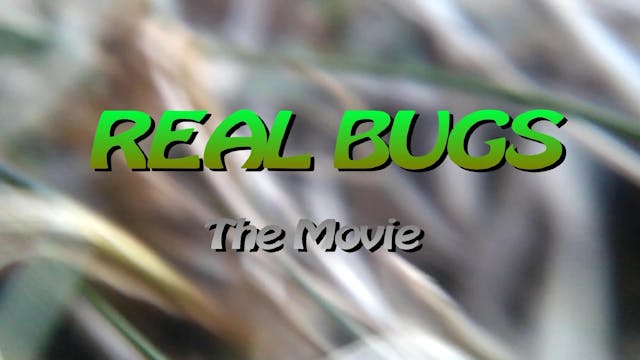 Real Bugs The Movie