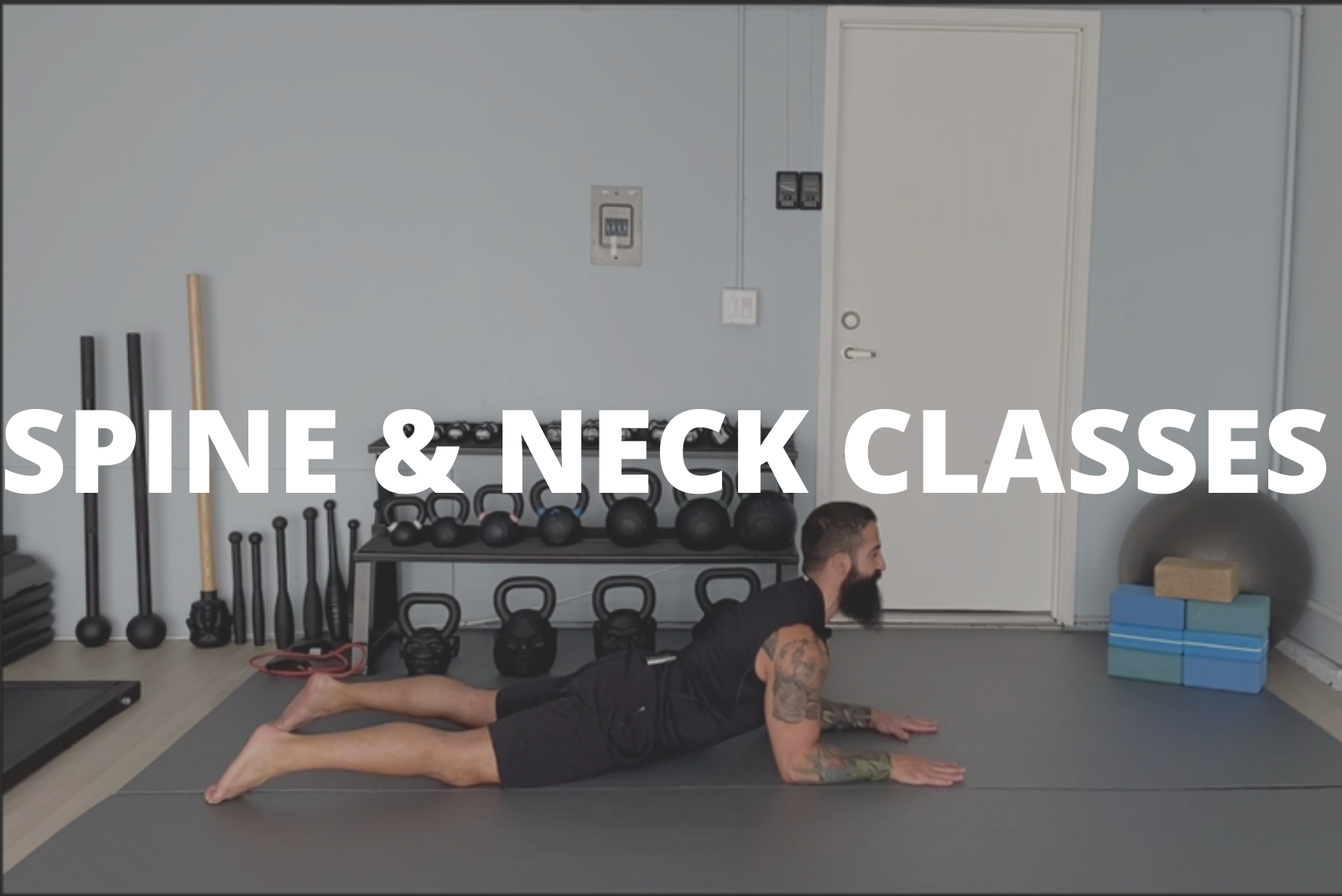 Class Focus: SPINE & NECK