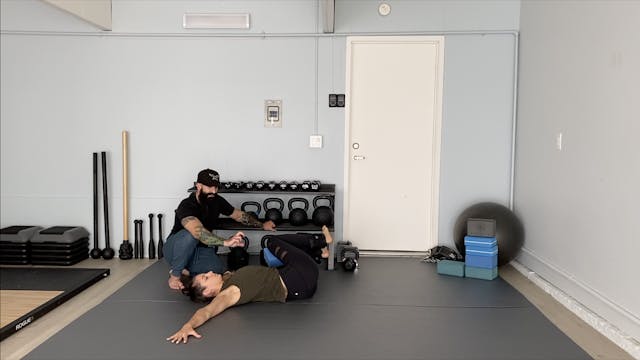 Class 22: Advanced Spine Circuit