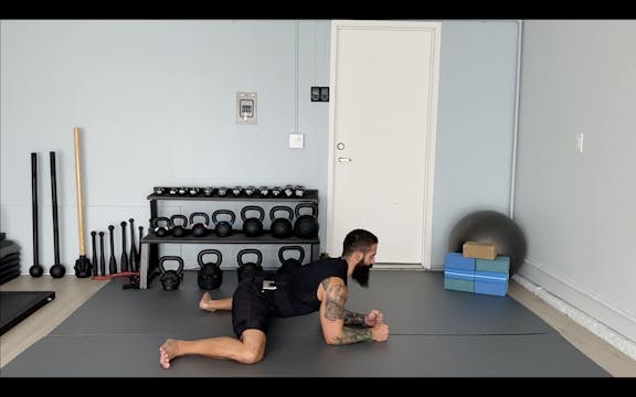 Short Class 7: Spine Circuit 