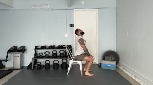 Short Class 193: Spinal Segmentation ...